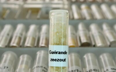 Keltisch zeezout als ontbrekende schakel